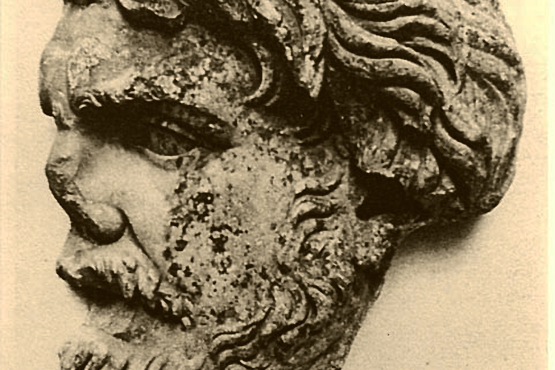 Fragment de relief: cap de "Barbar" (Dac)